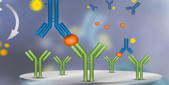 ELISA (saggi di immunoassorbimento enzimatico)