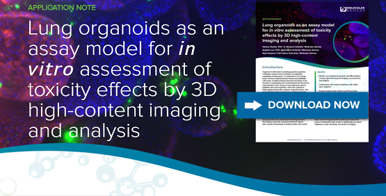 Monitoraggio di organoidi polmonari mediante imaging 3D ad alto contenuto