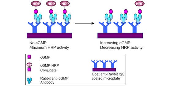 Principio del saggio CatchPoint cGMP