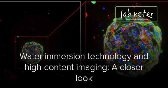 Tecnologia a immersione in acqua e imaging ad alto contenuto: uno sguardo più approfondito