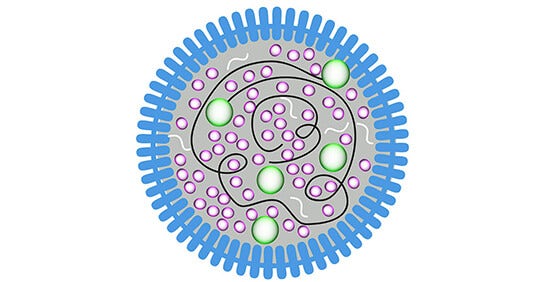 Rilevazione di micoplasmi