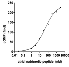 Curva dose-risposta per il peptide natriuretico atriale