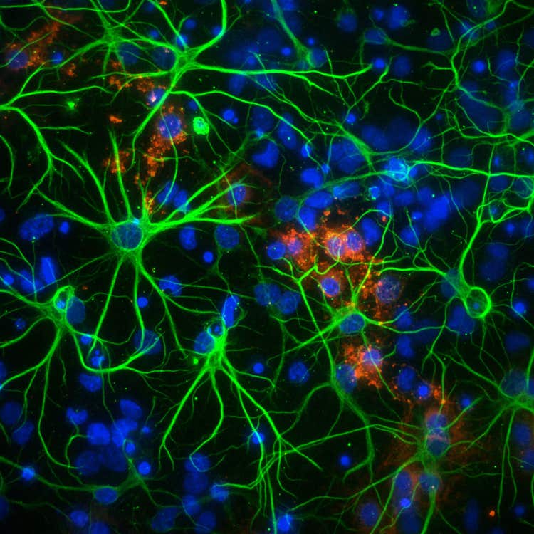 Sistema di imaging ad alto contenuto Micro 4