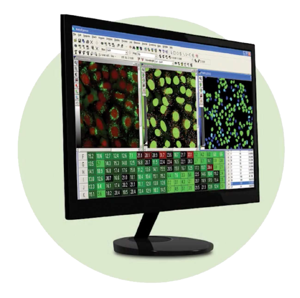 Software MetaXpress per i sistemi di imaging ad alto contenuto