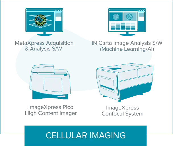 Imaging cellulare