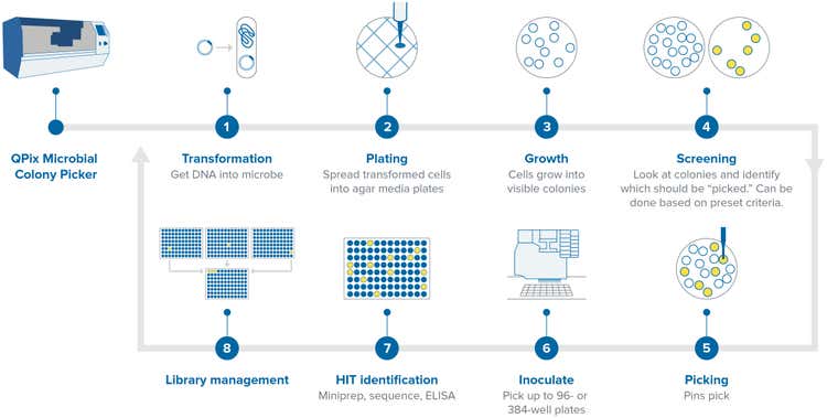 Automatizzate i flussi di lavoro della biologia di sintesi