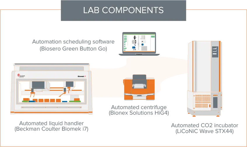 Componenti di laboratorio