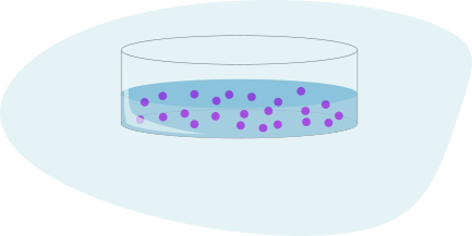 Semina delle cellule