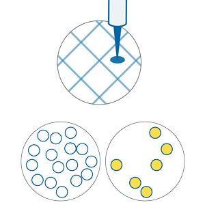 Semina in piastre e screening delle colonie