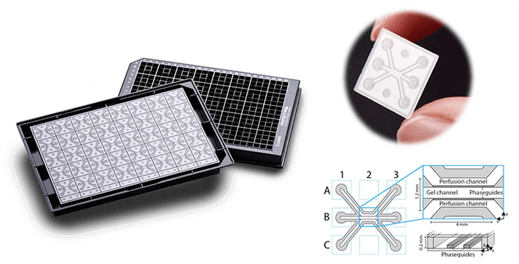 La tecnologia organo su chip di Mimeta, organopiastra