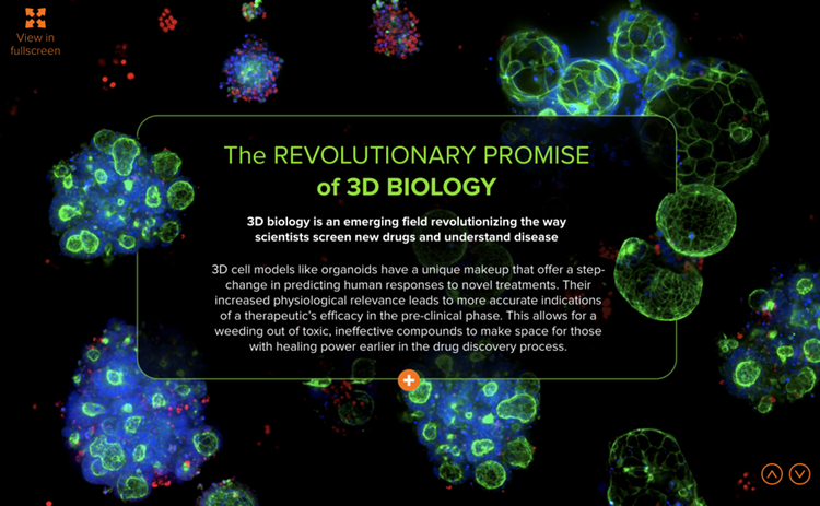 La promessa rivoluzionaria della biologia 3D