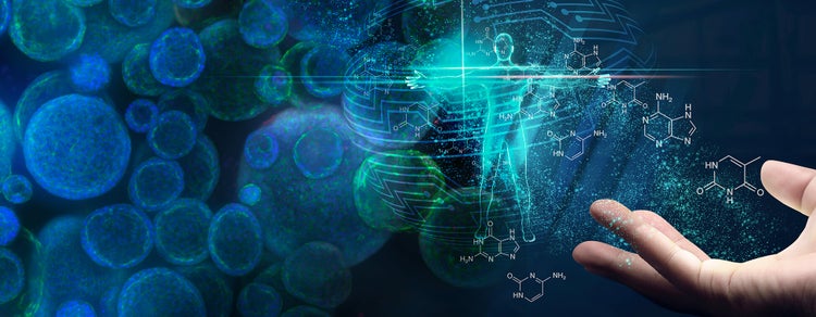 In che modo i modelli cellulari 3D plasmeranno il futuro della scoperta farmacologica