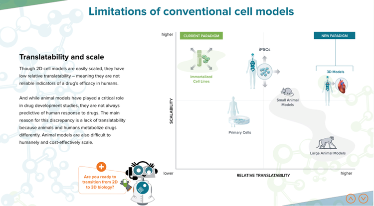 modelli cellulari convenzionali