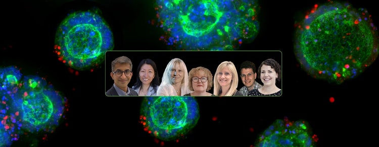 Esperti di biologia 3D di Molecular Devices