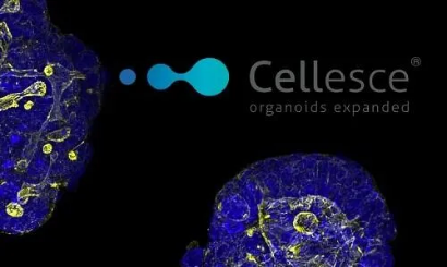 Dispositivi molecolari e Cellesce