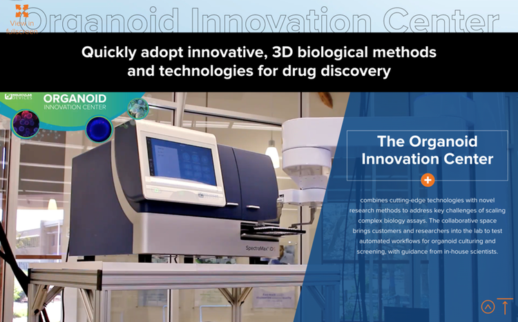 Centro di innovazione sugli organoidi