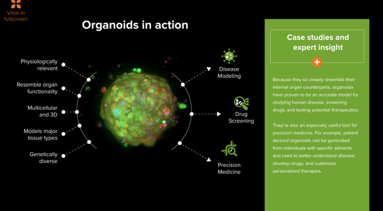 casi d’uso di organoidi