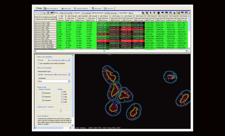 Data-Mining ad alto contenuto