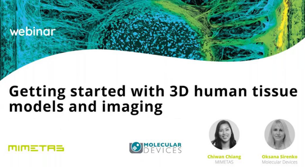 Modelli e imaging di tessuti umani 3D