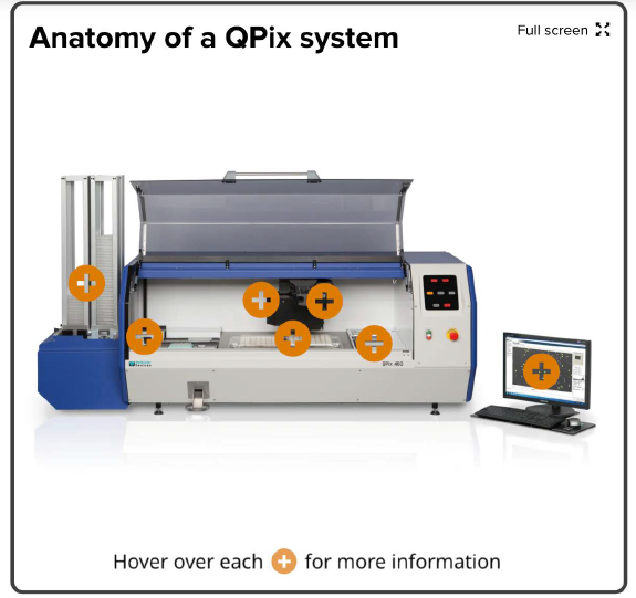 Anatomia di un sistema QPix