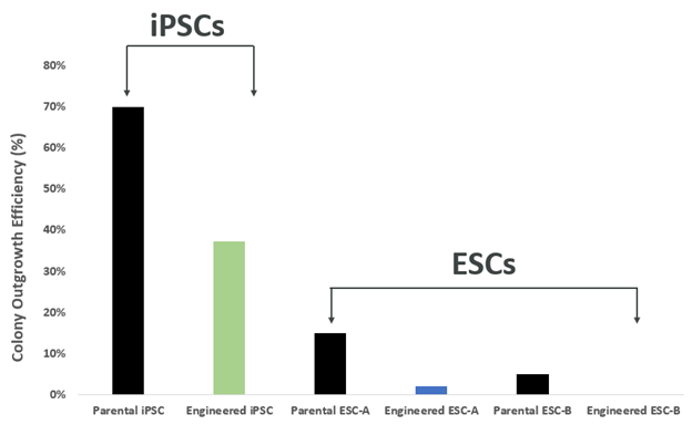 Efficienze di crescita delle colonne da singole cellule tra IPSC ed ESC