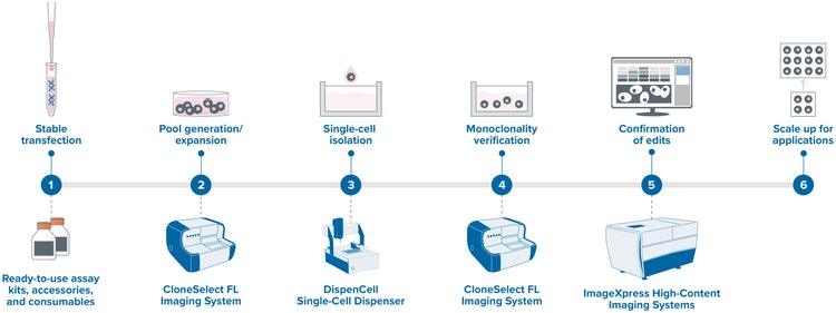 Ricerca e applicazione CRISPR