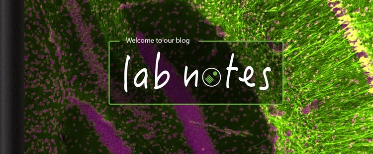 Note di laboratorio