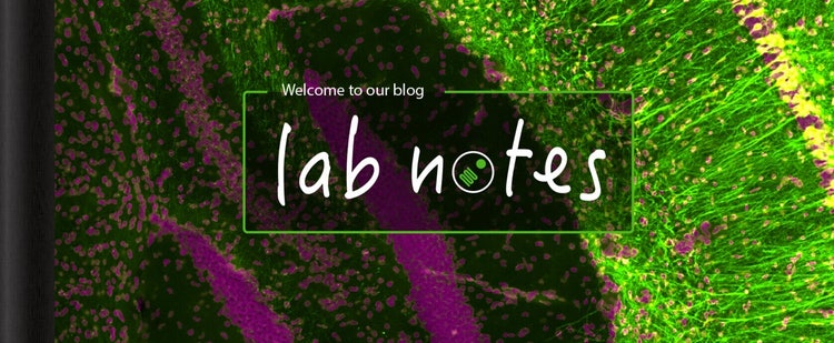 Note di laboratorio