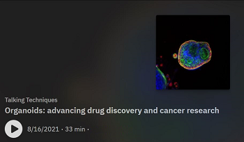 Organoids: advancing drug discovery and cancer research