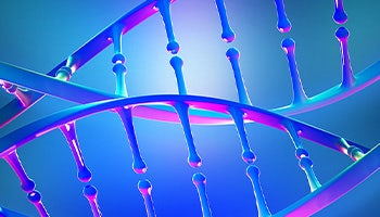 CRISPR Genome Editing