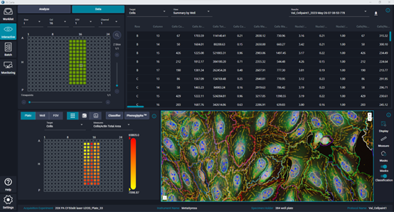 Dashboard seen in IN Carta® Image Analysis Software