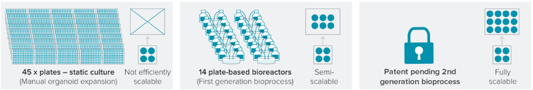 Bioprocesso di generazione