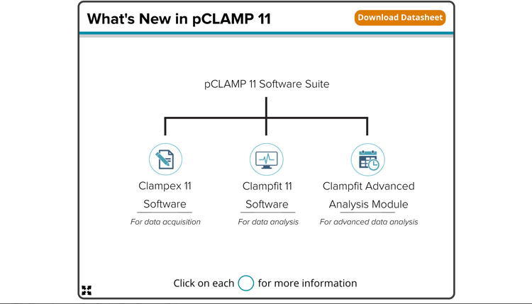 pCLAMP 11