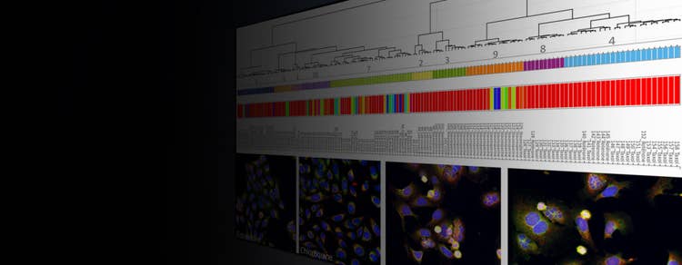 StratoMineR - Avanzate funzioni analitiche basate sul cloud