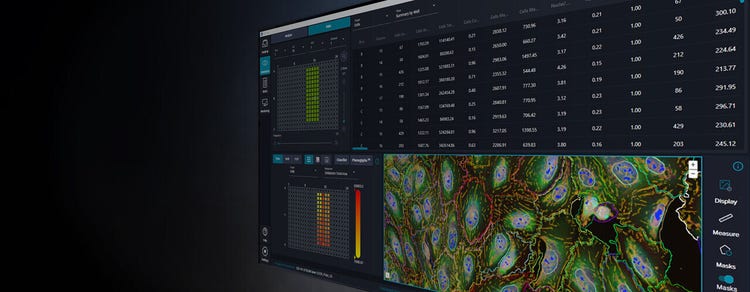 Software di analisi delle immagini IN Carta