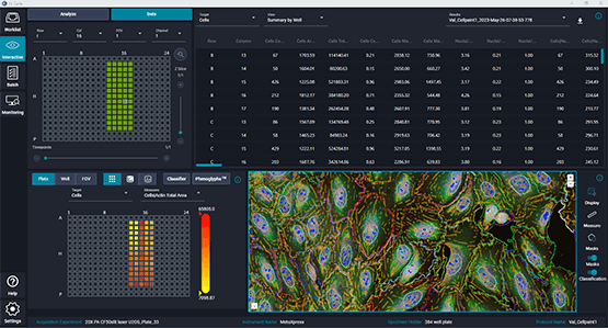 Software di analisi delle immagini IN Carta