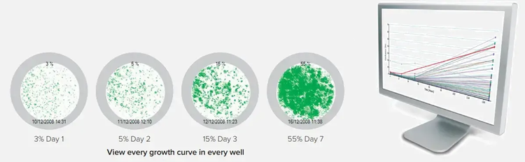 Calcolo e visualizzazione delle curve di crescita