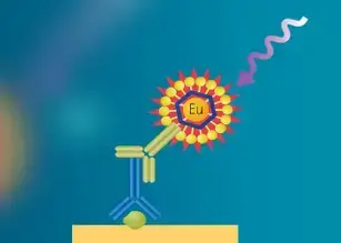 Western blot