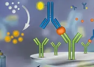 Saggio di immunoassorbimento enzimatico (ELISA)