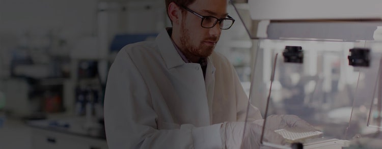 Scientist Working