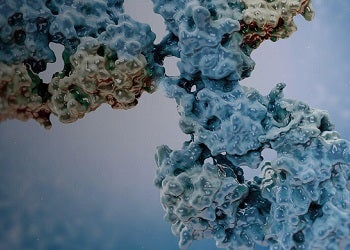 Flusso di lavoro per gli ibridomi per la scoperta di anticorpi