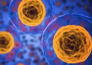 Salute cellulare: Vitalità, proliferazione, citotossicità e funzione cellulare