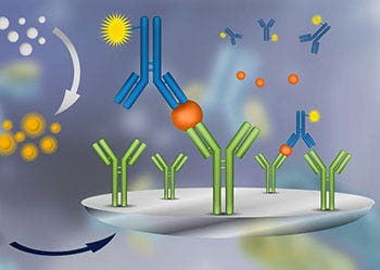 Saggio di immunoassorbimento enzimatico (ELISA)
