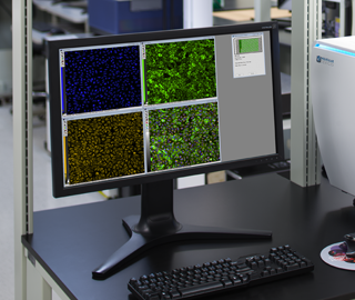 Controllo dei lettori per micropiastre e software di analisi dei dati