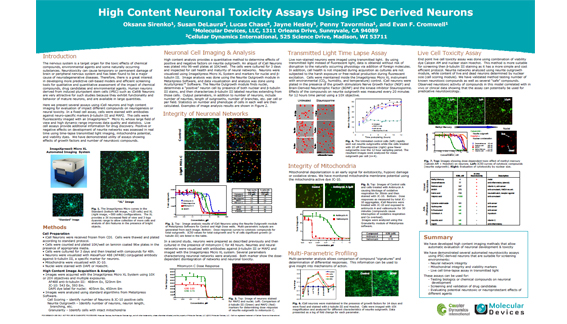Saggi di tossicità neuronale ad alto contenuto mediante l’uso di neuroni derivati da iPSC