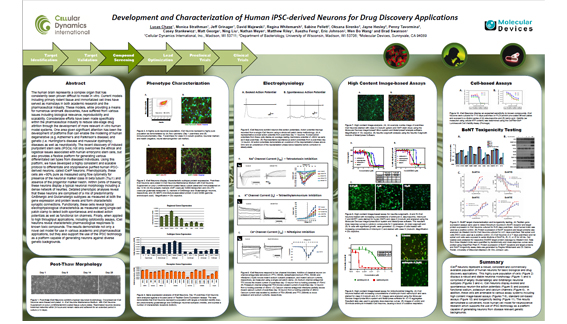 Sviluppo e caratterizzazione di neuroni derivati da iPSC umane per applicazioni nel campo della scoperta farmacologica