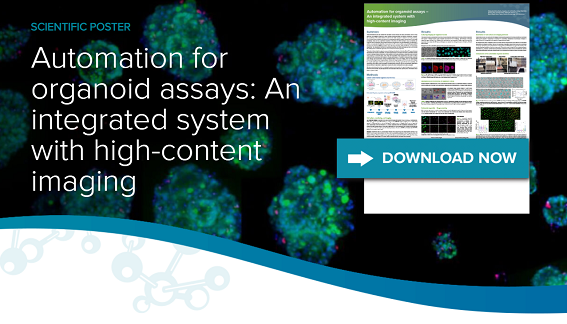 Automazione dei saggi sugli organoidi: un sistema integrato con imaging ad alto contenuto