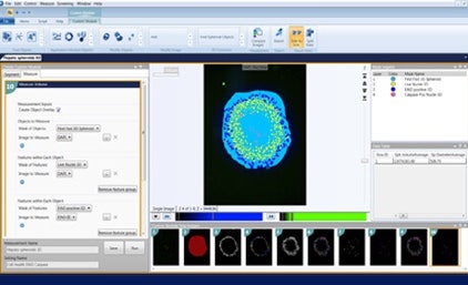 Semplificazione della visualizzazione e quantificazione delle strutture 3D