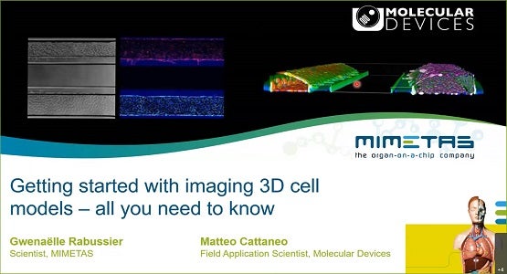 Imaging 3D Cell Models webinar