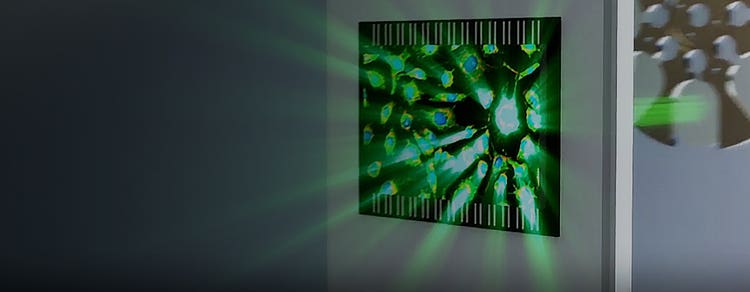 Imaging Gallery